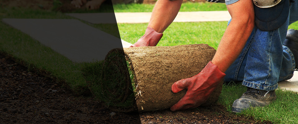 Cut Bank Landscapers